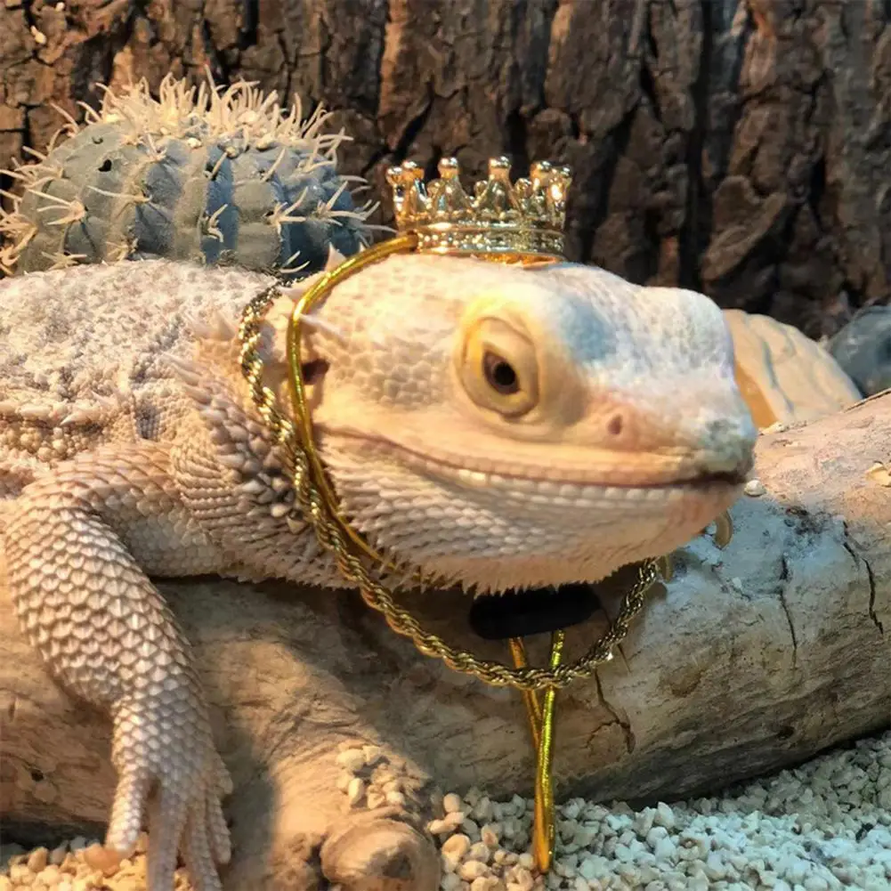 Dress Up Eye catching Bearded Dragon Lizard Crown Necklace for Festival