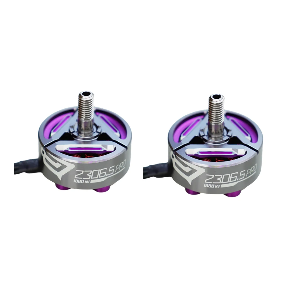 2 pcs Motor