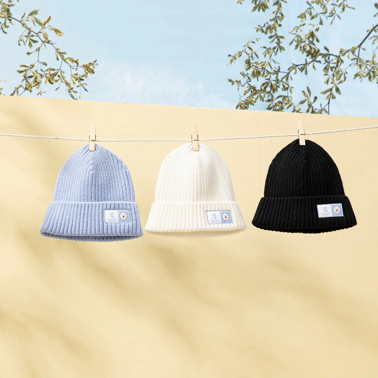 �ܿ� 2023 ��Ʈ ����, ������ ĳ�־� ����, ������ ������ ����, ����ǰ