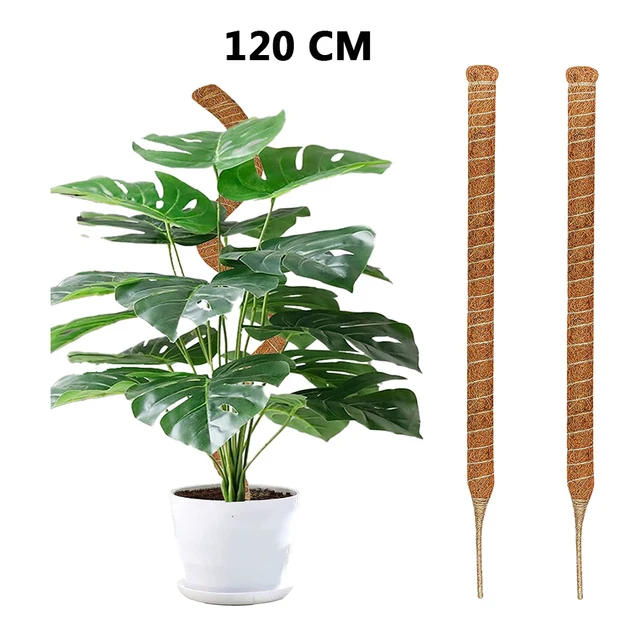 2pcs 120cm