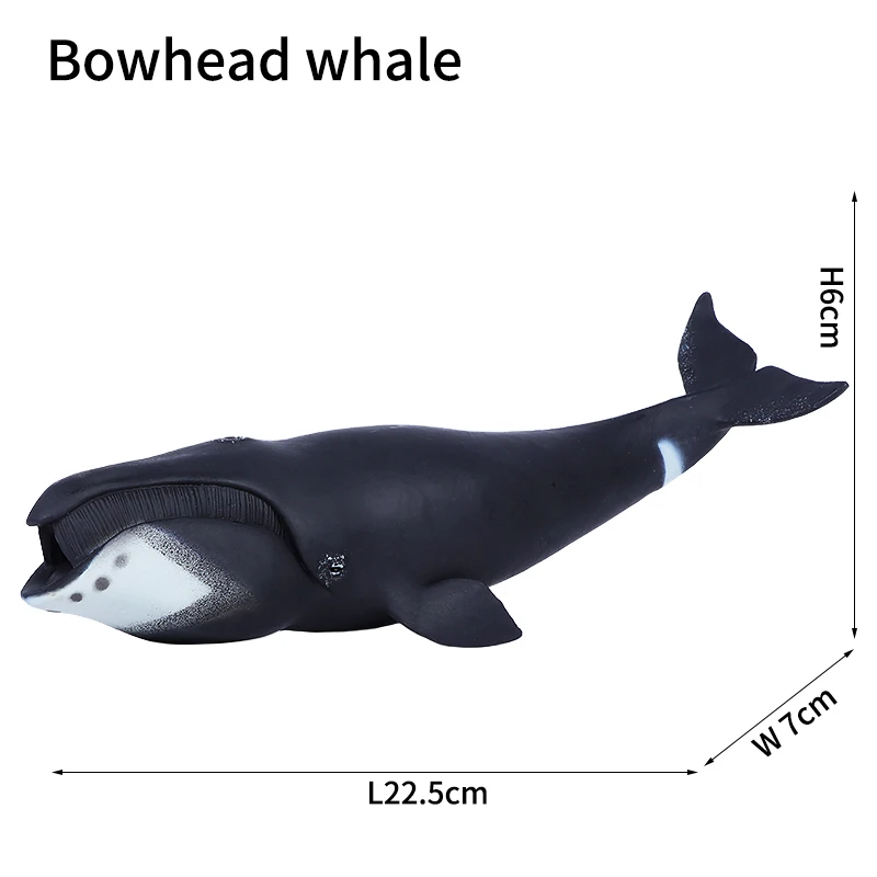 Realistic Sea Life Figure Toy - Shark and Whale Ocean Animal