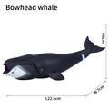 Bowhead whale