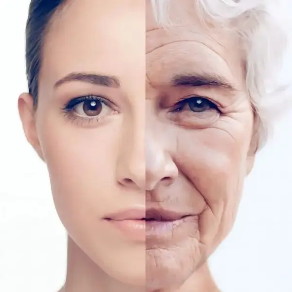 Facial Artistry Store