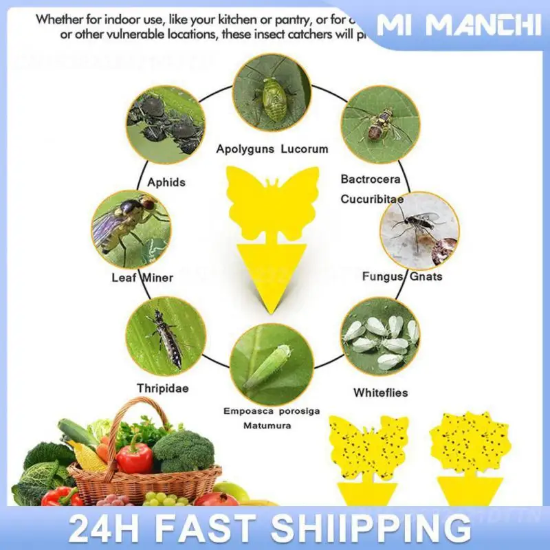 Trapstar Garden Buildings Trappola A Solvente Accessori Per Il Giardinaggio Di Zanzare Rete Da Pesca Repellente Trappola Per Topi Di Scarafaggi