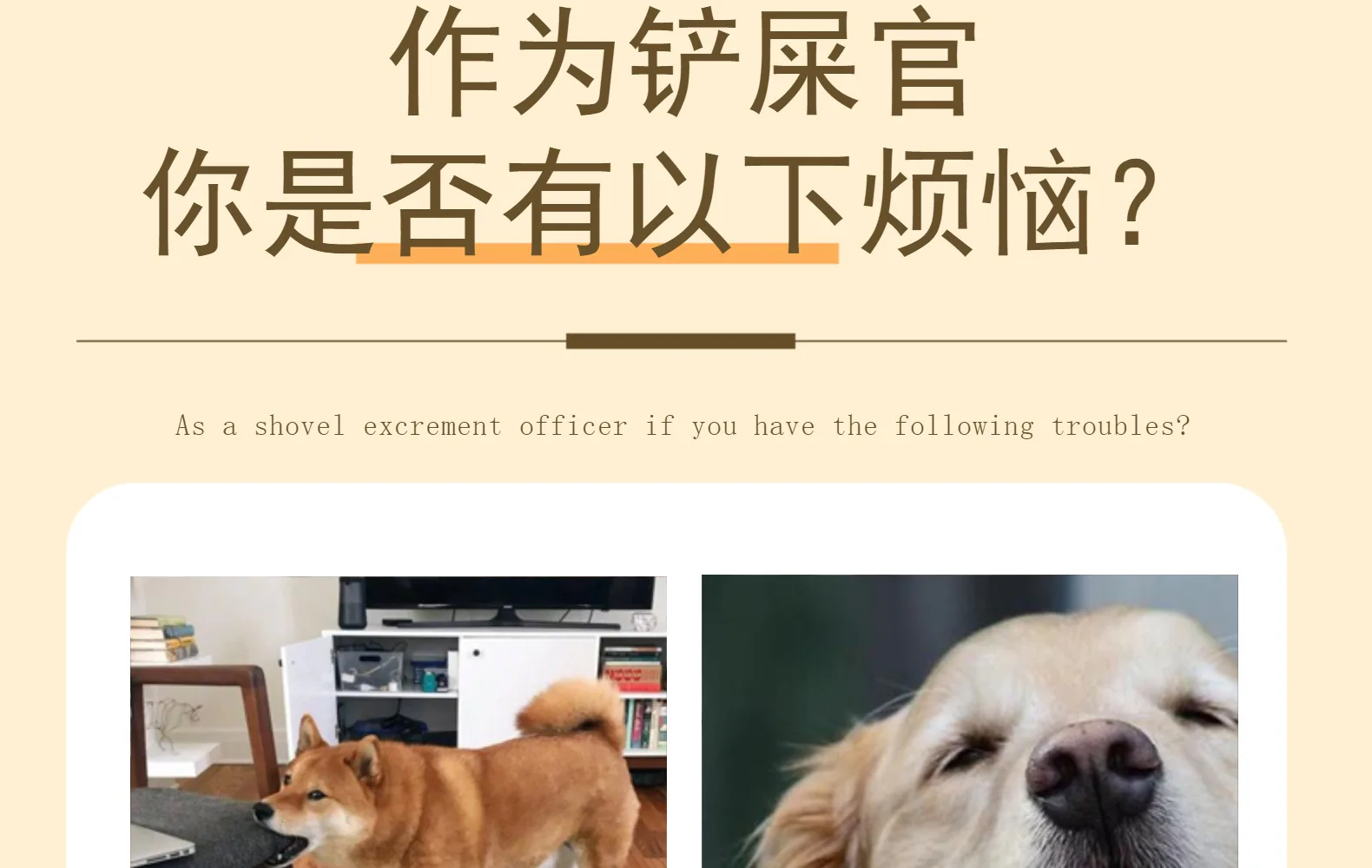 Description Picture 3 of itemBones Shape Puppy Plush Squeak Chew Toys for Aggressive Chewers Pets Dogs Puppy Playing Cleaning Teeth Pet Dog Toys