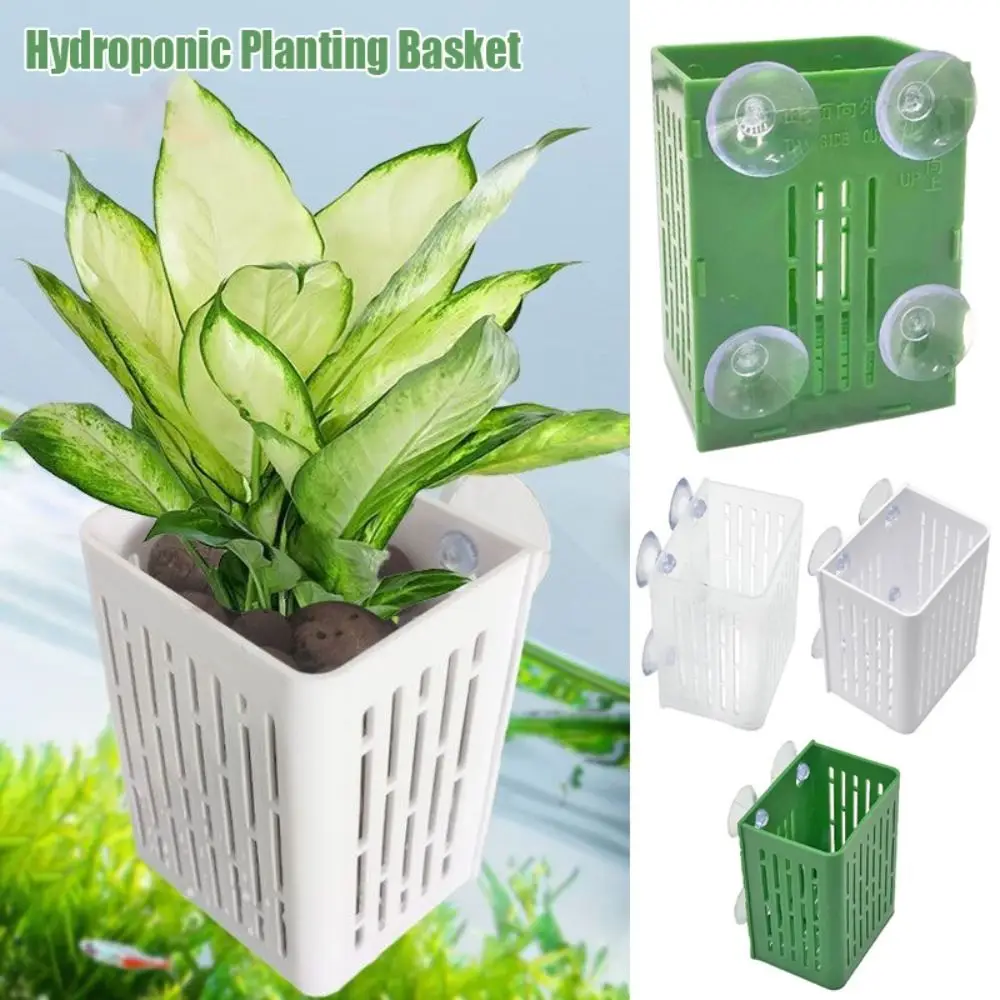 Plastic Aquarium Plant Holder Suction Cup for Fish Tank Decoration