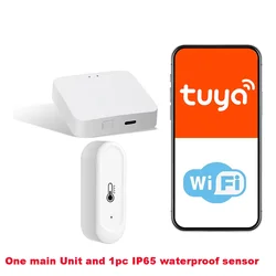 Smart Wireless Thermometer Kit with WiFi Indoor Temperature and Humidity Sensor for Remote Monitoring via Phone App (R1 With 1 Sensor)