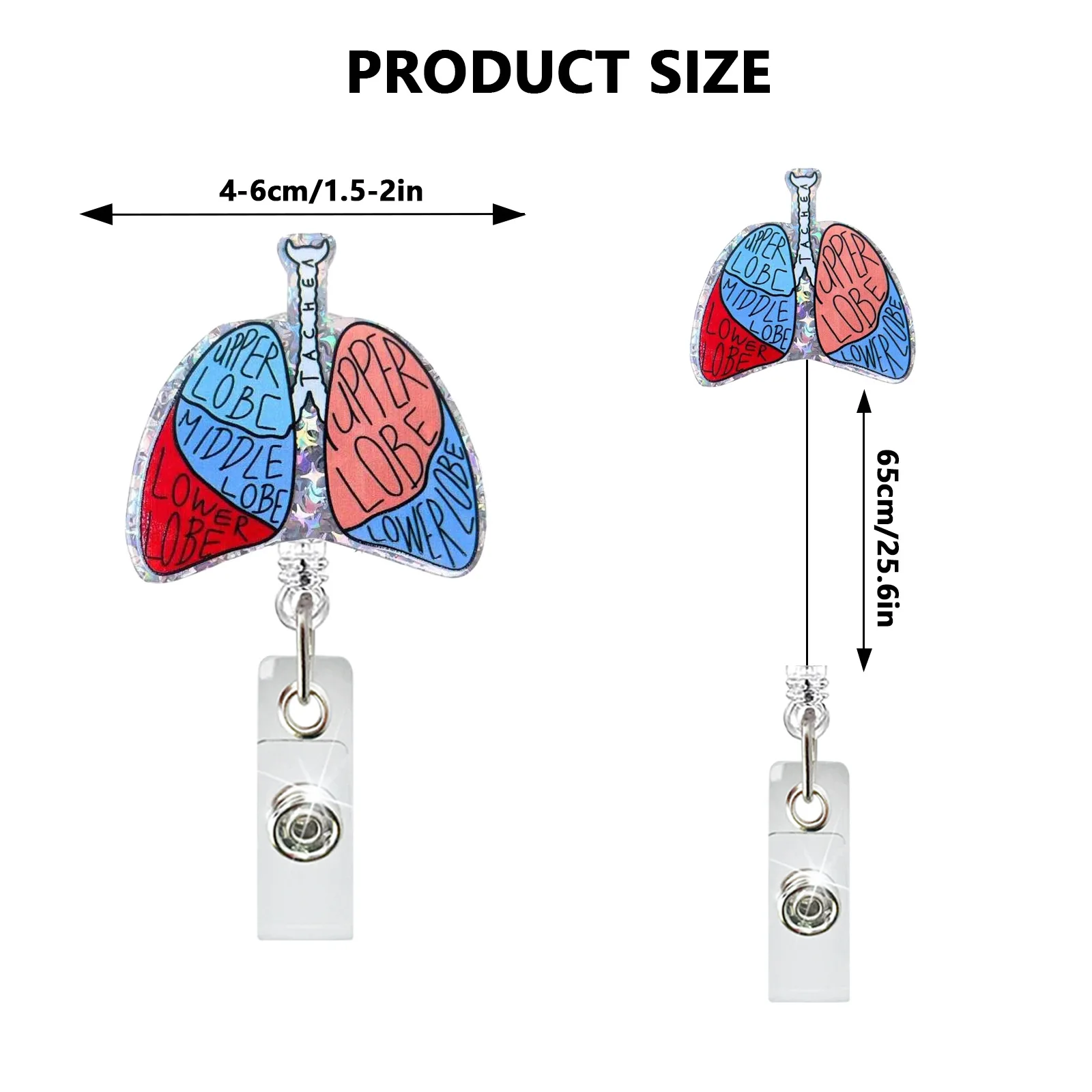 Creative Acrylic Heart Lung Brain Kidney Uterus Intestine Badge Reel Retractable Alligator Clip ID Card Holder for Nurse Doctor 2