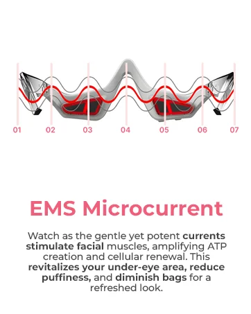 Module 5-EMS