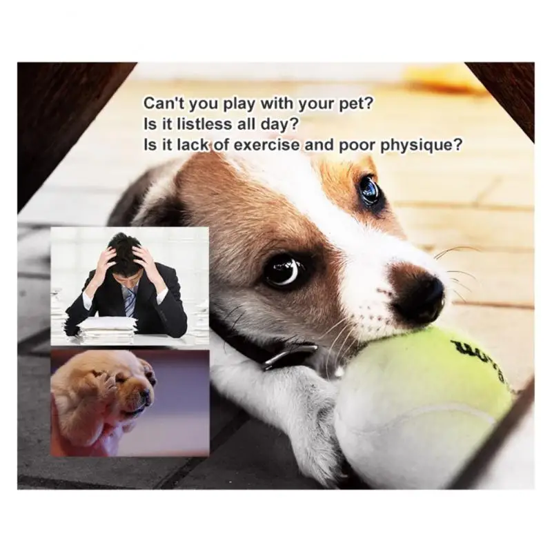 1pc Pet Dog Bite Ball Toys For Small Dogs Rubber Chew Puppy Toy Dog Stuff Dogs Toys Pets Tennis Launcher Small Ball 4