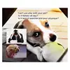 1pc Pet Dog Bite Ball Toys For Small Dogs Rubber Chew Puppy Toy Dog Stuff Dogs Toys Pets Tennis Launcher Small Ball 4