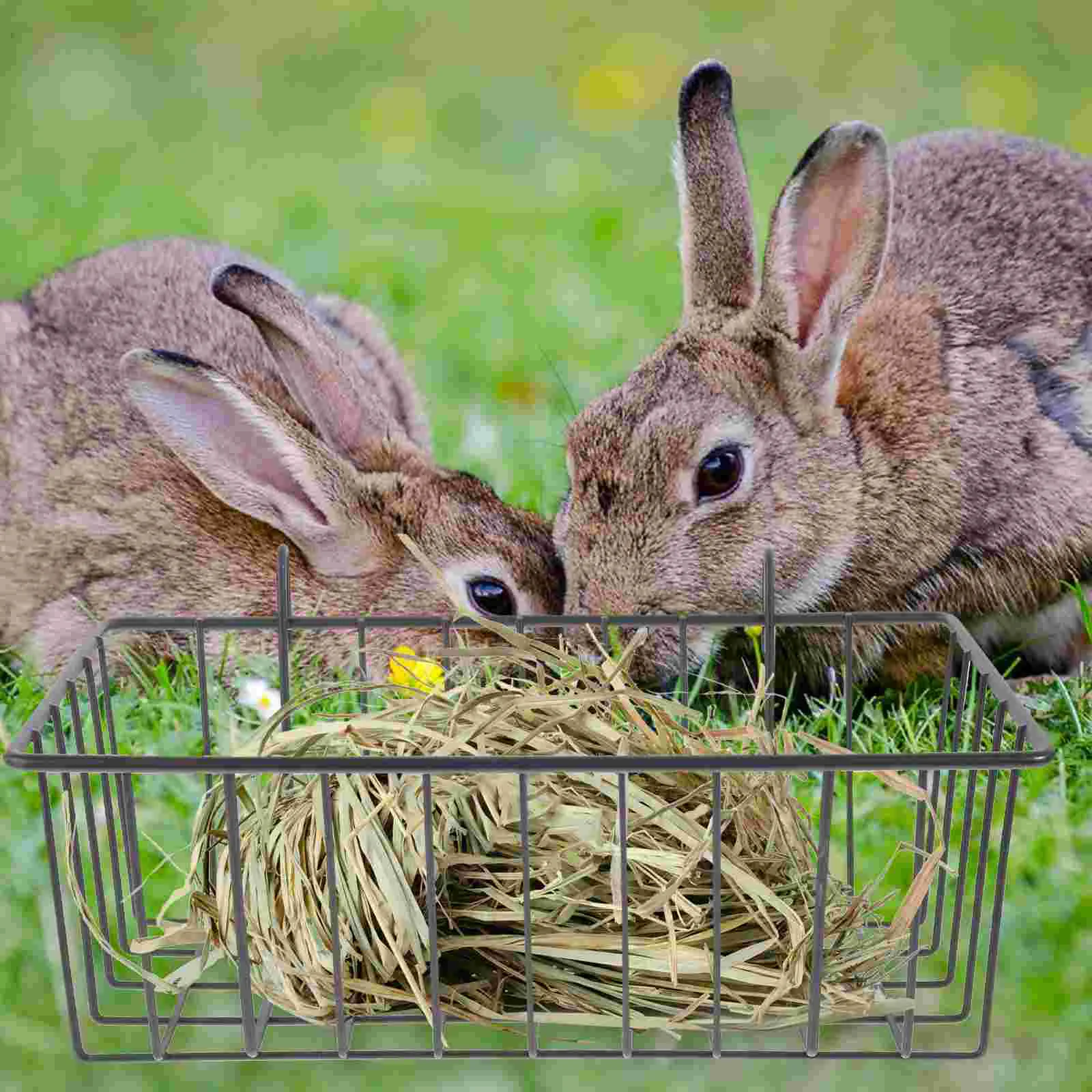 

Rabbit Feeder Metal Guinea Pig Rack for Guinea Pig Organizer
