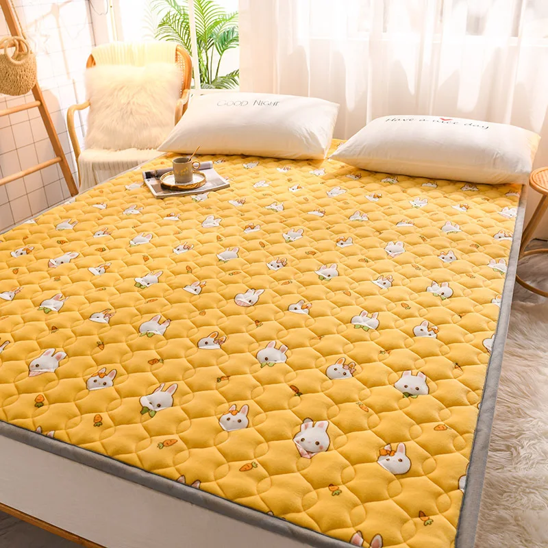 

Milk Velvet Mattresses, Cushions, Household Thickened Dormitories, Single Person Bedding, Winter Plush and Cotton Padding