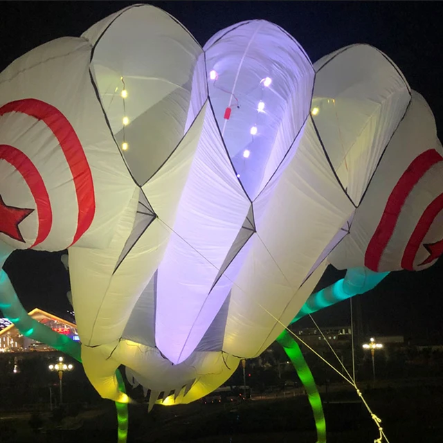 free shipping led trilobites kite for adults kite string line windsurfing papalote outdoor toys sport professional kite koi carp 3