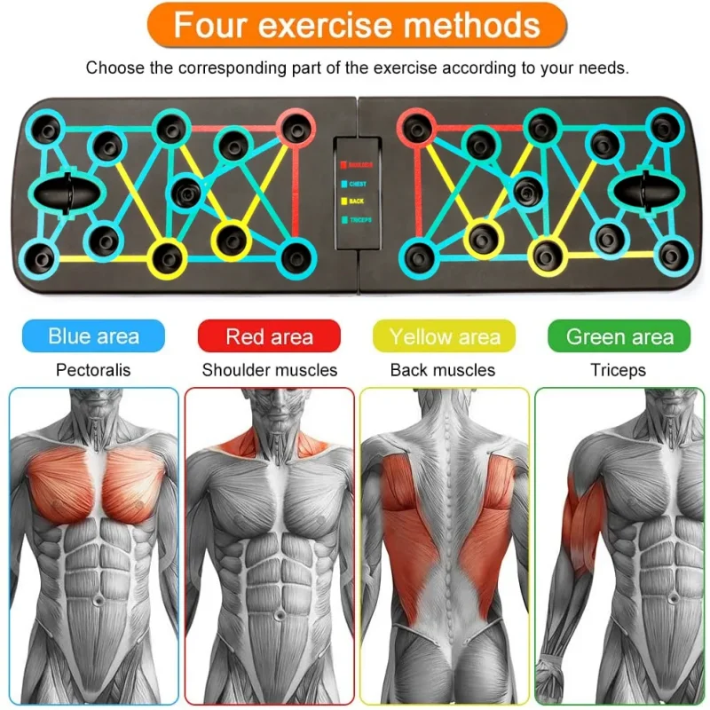 Ensemble de planche à pompes multifonction portable et pliable, équipement de fitness pour l'entraînement de la poitrine, du dos et des abdominaux à domicile._voghion.com