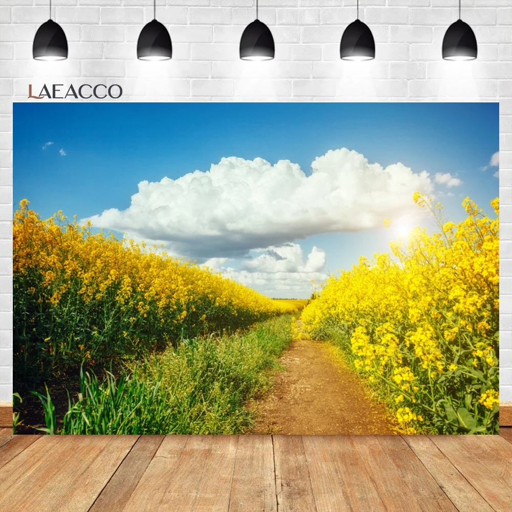 Laeacco ö ð  ʵ ڿ ǳ , ʿ ߻ȭ ܵ,   ʻȭ  