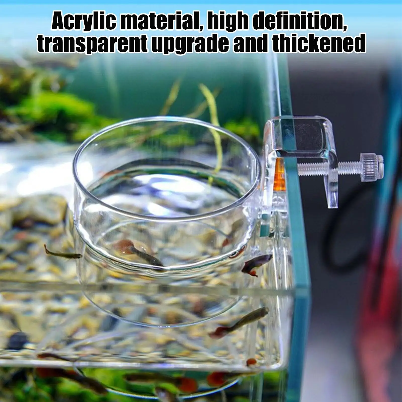 Transparent Acrylic Aquarium Feeder Dish Floating and Sinking Type Fish Tank Dish Tray Shrimp Food Feeding Bowl Accessories