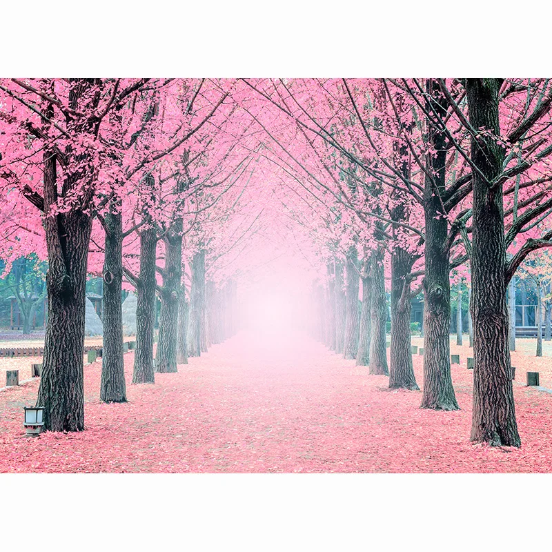 SHUOZHIKE Ʈ  ٴ ǳ  Ʃ  , ȣ  غ  ǳ  FJ-01