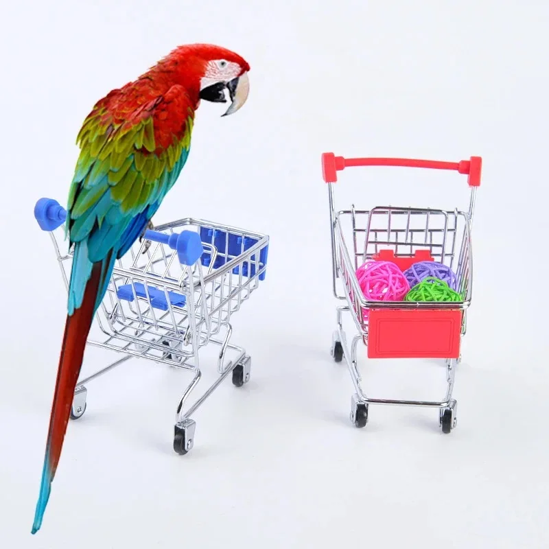 Title 2, Bird Training Toy Supplies Basketball Stand Lov...