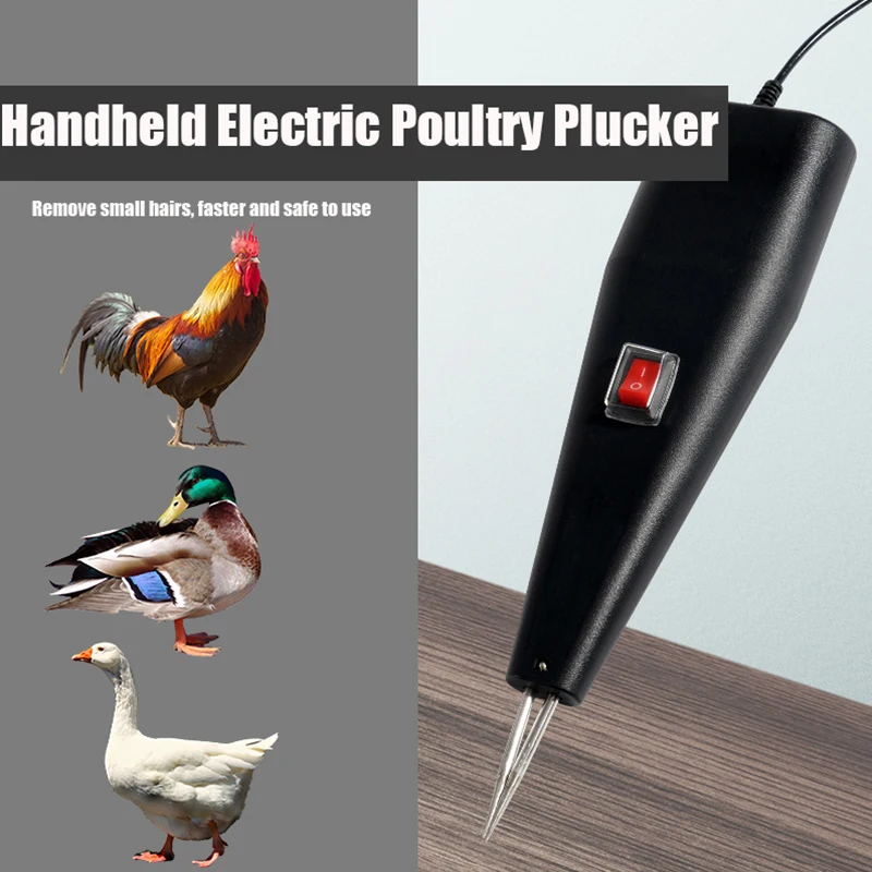 Easy Homemade Chicken Plucking Simple Steps to Pluck a Chicken