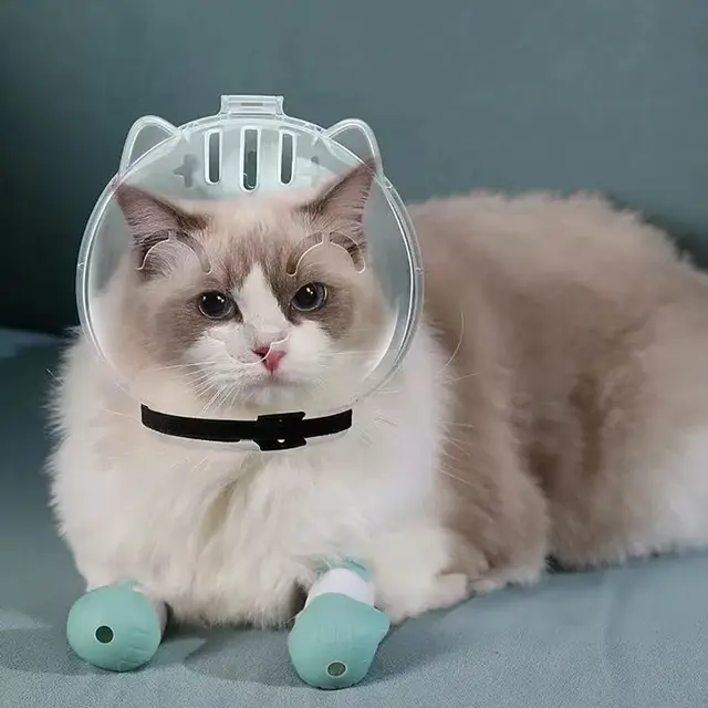 Transparent Breathable Cat Muzzle Anti-Bite Anti-Licking Cat Mask Cover Helmet Anti Scratch Cat Grooming Accessories 5