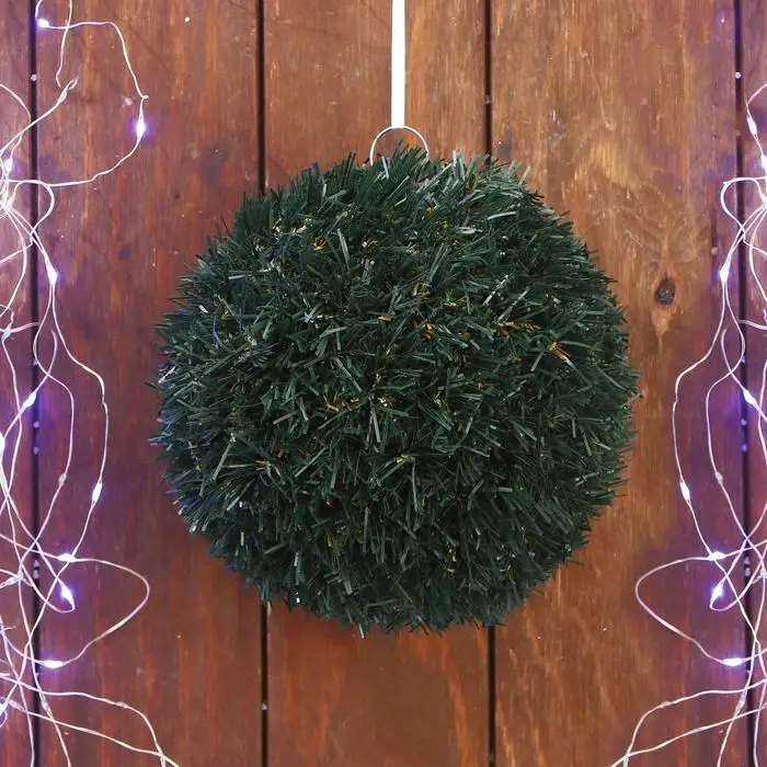 Туя западная шаровидная тедди. Шар из хвойника. Сосна шар. Шарик хвойные. Туя западная шаровидная тедди.