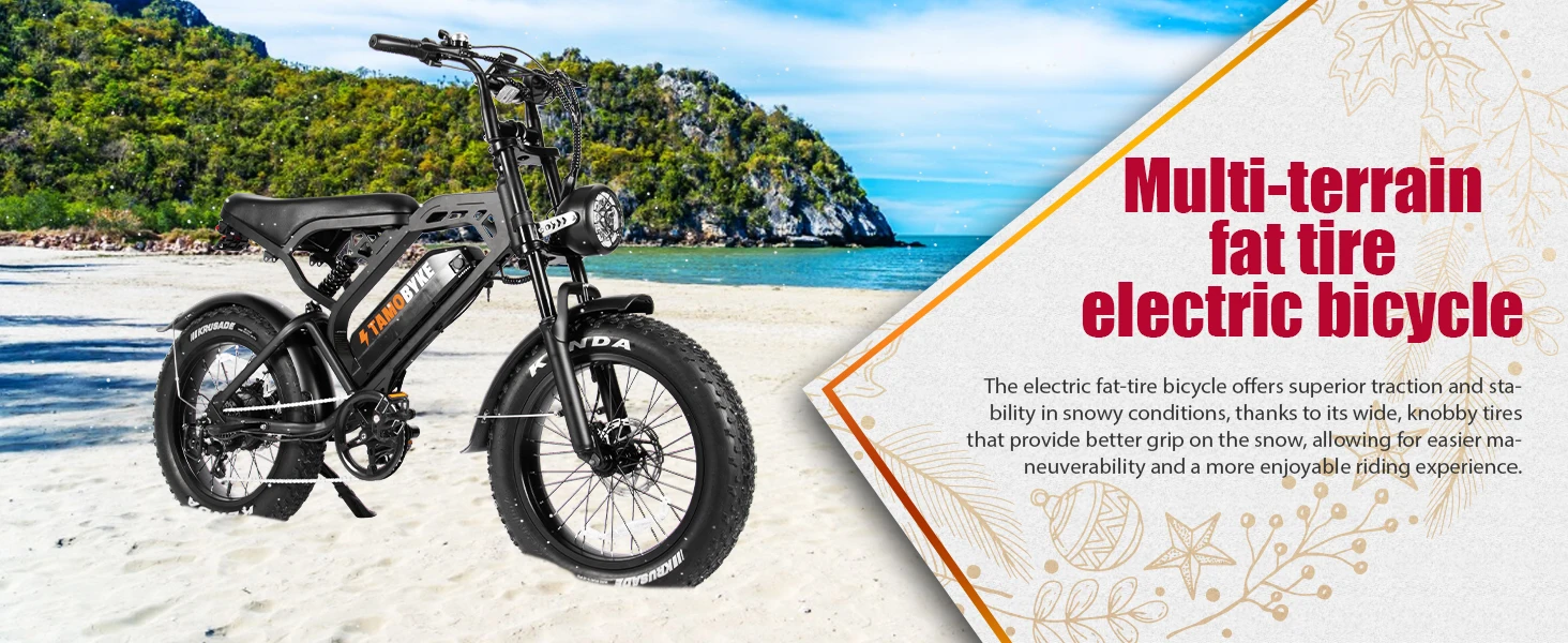 Beach bike