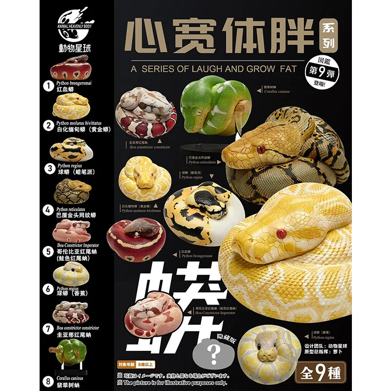 

Animal Planet A SERIES OF LAUGH AND GROW FAT 9 Snake Python Brongersmai Boa Constrictor Imperator Corallus Caninus Model Toys