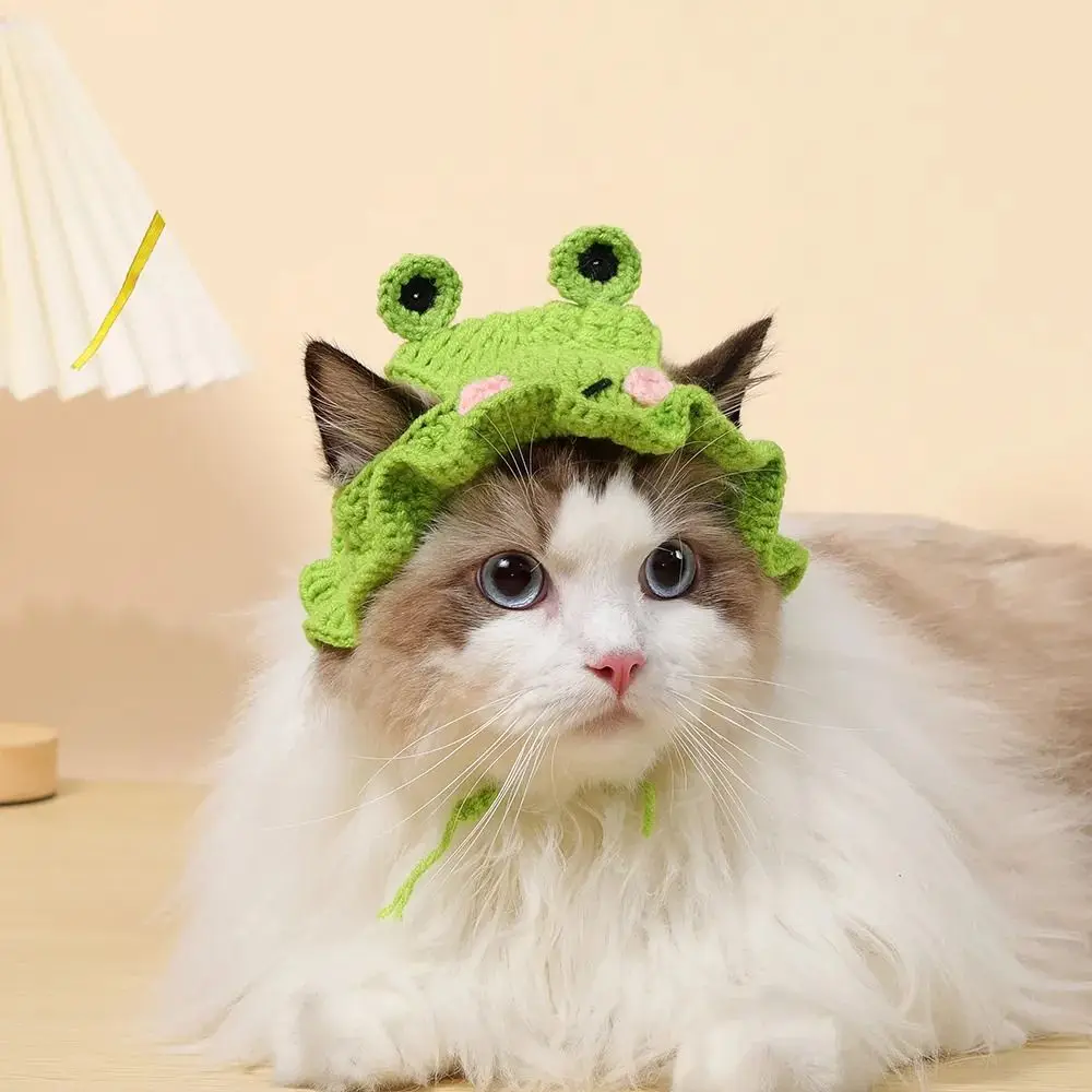 Wool Knitted Cat Hat for Pet Photo Shoots and Parties