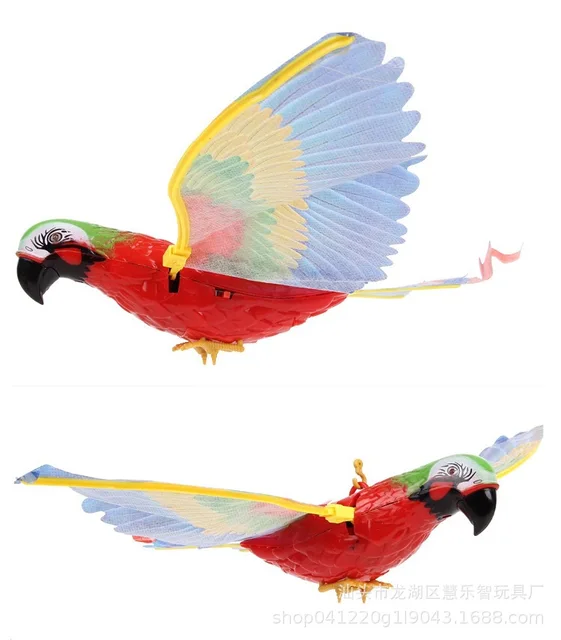 Image 4