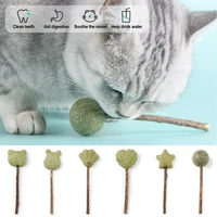 Cute Shape Fresh Cat Catnip Toys – Natural, Safe, and Edible Cat Toys