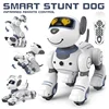 Funny RC Robot Electronic Dog Stunt Dog Voice Command Programmable Touch-sense Music Song Robot Dog for Children's Toys 5
