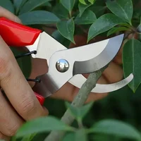 BIESUO Stainless Steel Garden Pruning Shears Plant Tree Trimming Scissors Gardening Pruner Tools 2