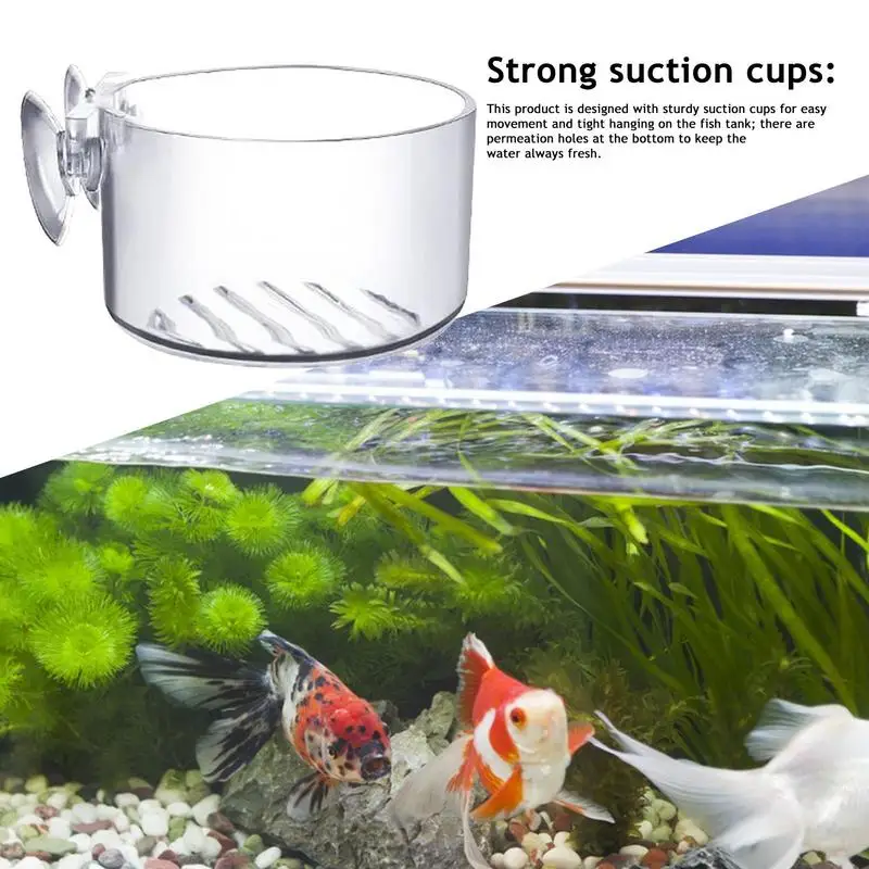 Acrylic Aquatic Plant Cup Glass Aquarium Coral Container Sea Anemone Anti  Run Cup Fish Tank Water Plant For Saltwater Freshwater - AliExpress