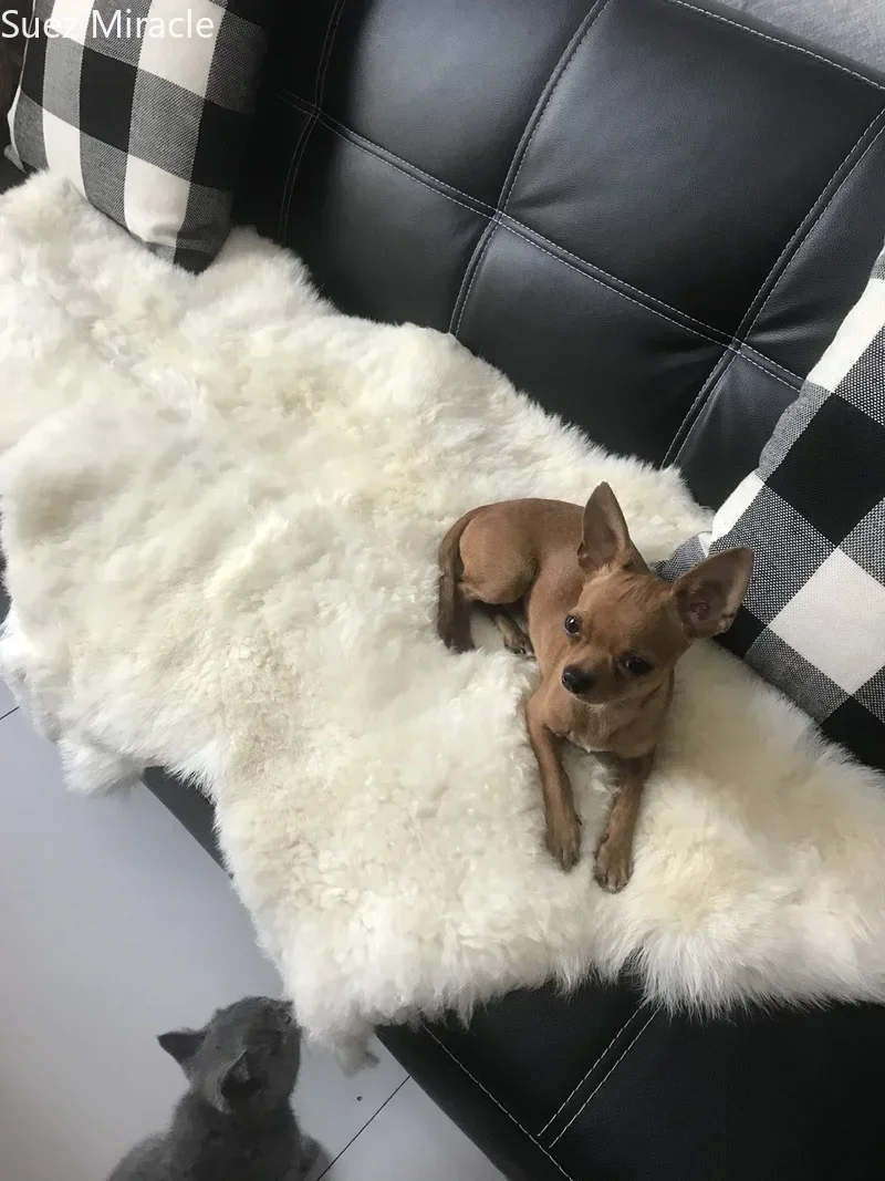 Fur Fabric Cartoon Carpet Whole sheep fur cushion pure wool blanket carpet bedside fur fabric trim womens belts faux blanket craft bag