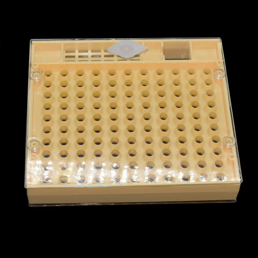 1 Pcs Beekeeping Equipment Tools Rearing Queen Bee Plastic Box Cage For Professional Beekeeper Apiculture Supplier