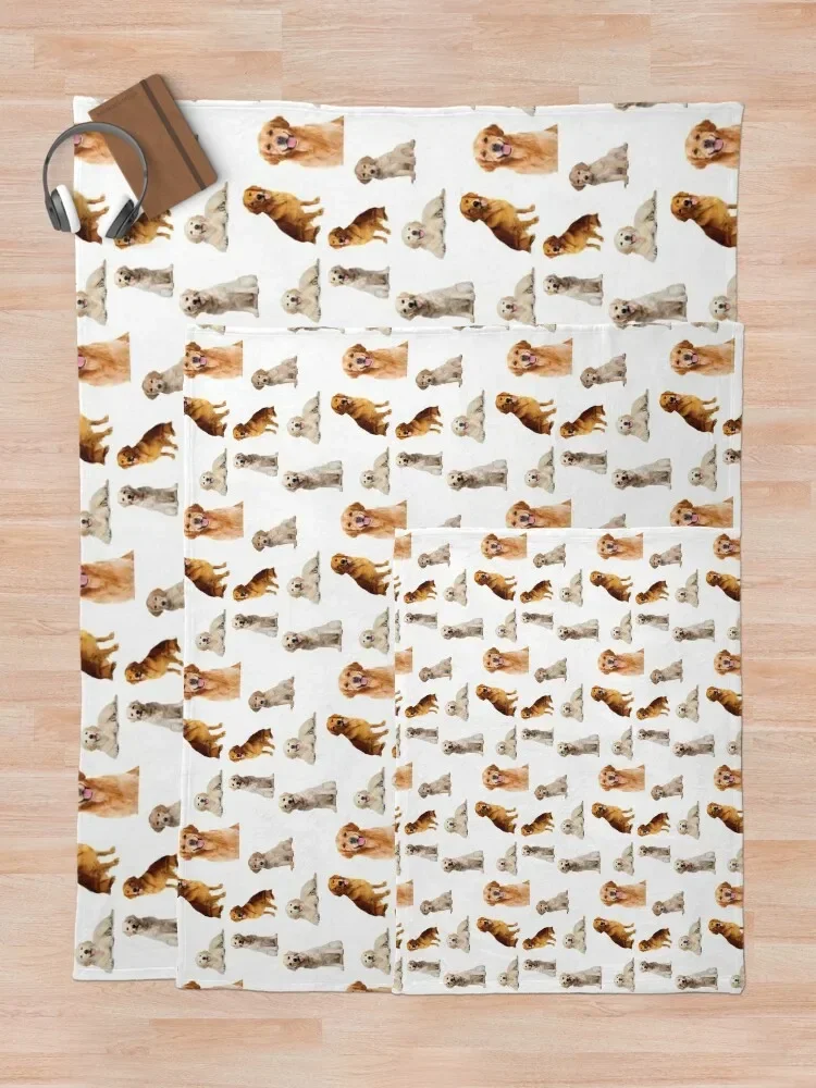 ��� ��Ʈ���� �ɸ��� ���� ������ ���, ���� �̺�, ��� ǫ���� ���� ���