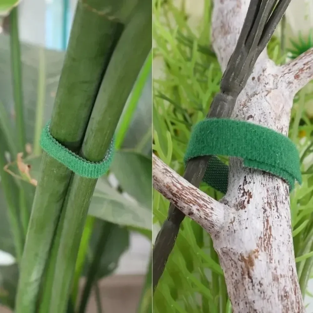 5-120M Adjustable Self Adhesive Plant Nylon Cable Tie Plant Hook Loop Support Garden Twine Bandage Reusable Fastener Tape Strips