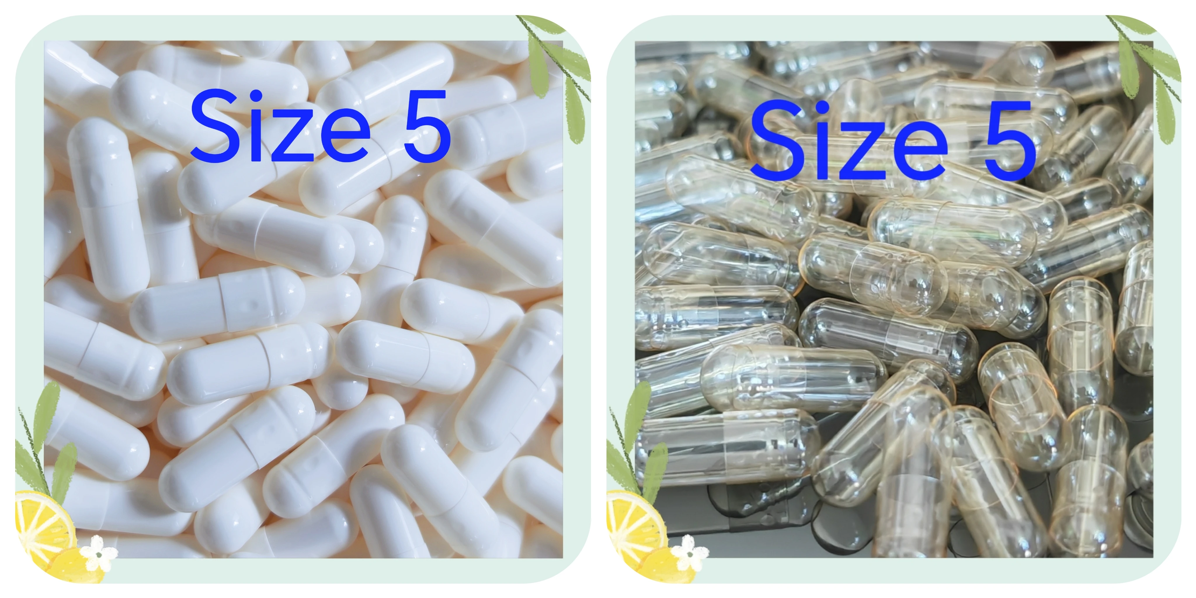 5MiniEmptyCapsule1000PCSTheSmallestMedicalCapsuleSize5Hard