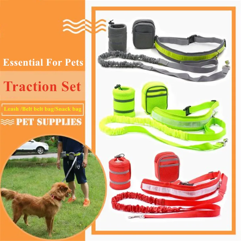 Pet Elastic Belt Collar Running Waist Dog Leash Set Hands Free Jogging Rope Puppy Harness Strap Animal Canicross Supplies Decor