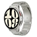 Titanium color