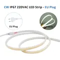 CW EU Plug