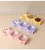 Pet Cat Food Bowl Automatic Feeder All-in-One Splice Dog Cat Food Bowl and Drinking Fountain Drinking Raised Standing Dish Bowl 2