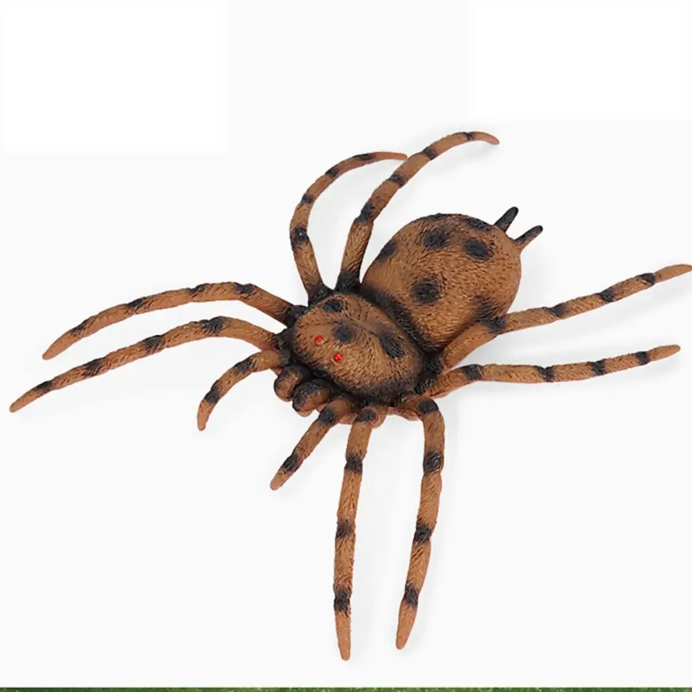 Рисунок 3 - Игрушка-паук для Крикета