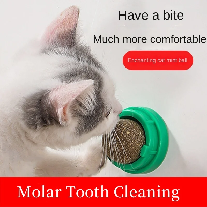 Natural Catnip Cat Girevole Catnip Wall Ball Toys Leccare Snack Nutrizione Sana Palla Pulizia Dei Denti Catnip Toy Pet Supplies