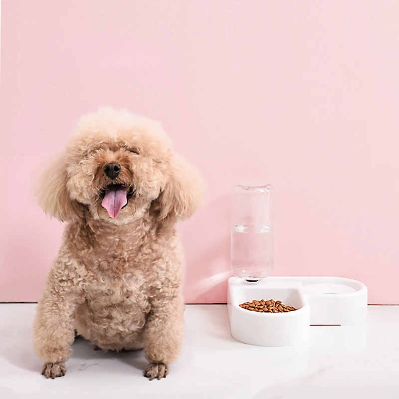 

Cat Feeding Drinking Bowl One Piece Design Dog Feeder Watering Supplies Dry Wet Treat Dispenser Bowls Pet Feeding Station