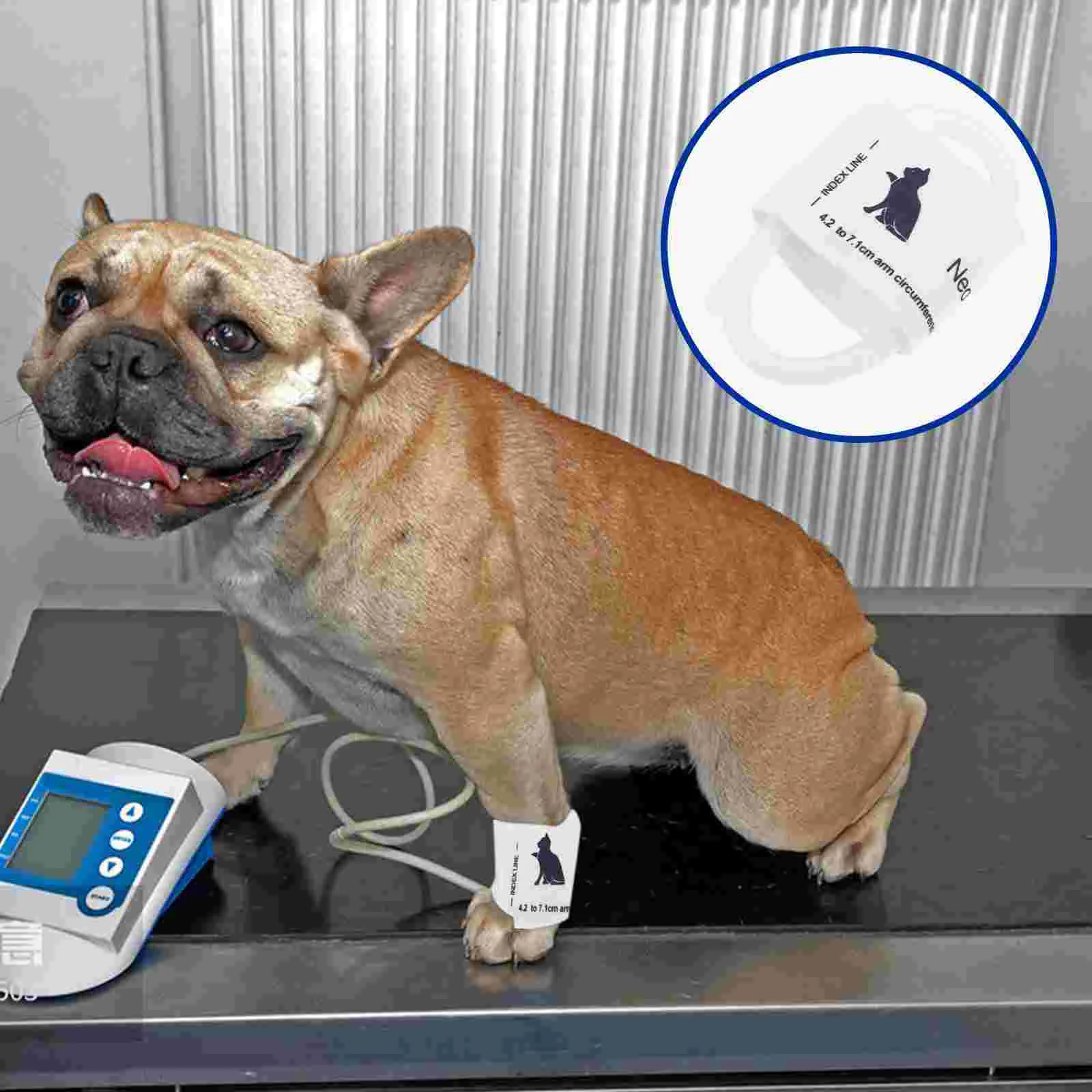 Vet Animal Cuff Bp for Pet Veterinary Supplies Dog Monitor Armband