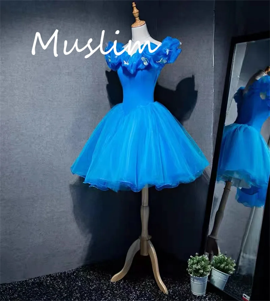 

Sexy Blue Homecoming Dress With Butterflies Elegant A Line Cinderalle Short Prom Dress 2023 Lace Up Cocktail Party Gown Evening