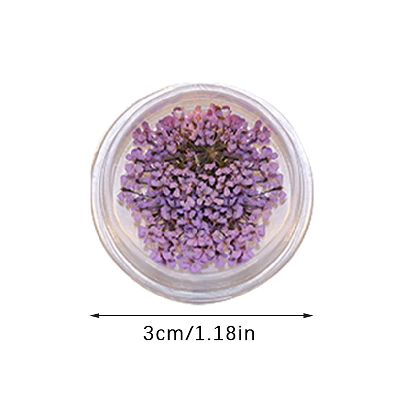 5Pcs/box 3D Dried Flowers Nail Art Decorations Dry Floral Bloom Stickers DIY Manicure Charms Designs For Nails Accessories 6