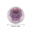 5Pcs/box 3D Dried Flowers Nail Art Decorations Dry Floral Bloom Stickers DIY Manicure Charms Designs For Nails Accessories 6